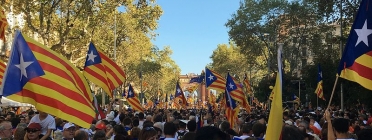 Manifestació de la Diada Nacional de Catalunya de 2016 Font: Xavier Dengra a la Viquipèdia