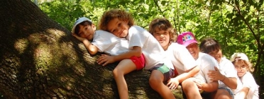 Imatge nens a l'arbre. Font: Canal Esplai Font: 