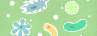 Il·lustració de microorganismes. Font: Monstera (Pexels)