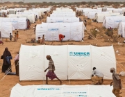 Camp de refugiats de Dadaab (Kènia). ACNUR / B. Bannon / Juliol 2011 Font: 