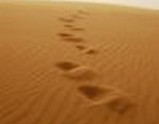 Imatge d'un desert amb la pregunta: "Hi ha algu?" Font: 