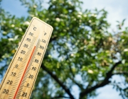 L'estiu passat es van arribar a superar els 40 graus a alguns centres escolars. Font: iStock. Font: iStock
