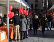 El 29 de novembre tindrà lloc el DIV-Lleida, un acte organitzat per la FCVS. Font: FCVS