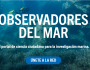 El projecte de ciència ciutadana Observadores del mar inicia una nova etapa Font: Observadores del mar