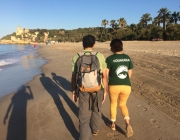 Crida de voluntariat ambiental pel seguiment de la tortuga babaua a les platges de Tarragona l'estiu de 2018 Font: Associació Mediambiental La Sínia
