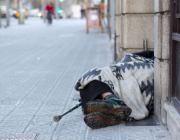 Les persones sense llar a Barcelona es mantenen estables en els darrers anys Font: 