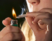 El consum problemàtic de cànnabis afecta 4 de cada 5 adolescents atesos a Projecte Home Font: 
