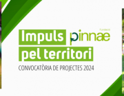 Banner de la convocatòria 'Impuls pel territori' 2024. Font: Fundació Pinnae 