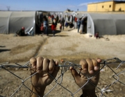 Mans a una tanca d'un camp de refugiats. Font: Diario Octubre Font: 