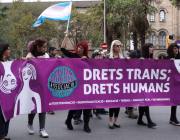El col·lectiu trans ha vist com es vulneraven els seus drets durant la pandèmia. Font: IdemTV