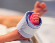 Un nadó acabat de néixer. Font: Sepp (Pixabay)