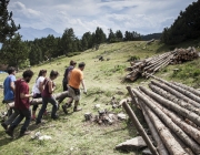 Les activitats que es desenvolupen en el marc del Projecte Boscos de Muntanya tenen com a objectiu la cura del bosc per garantir-ne un bon estat de salut. Font: Projecte Boscos de Muntanya