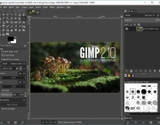 Interfície del software GIMP per editar imatges. Font: GIMP