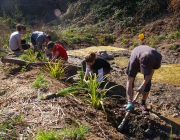 Curs online d'iniciació al voluntariat ambiental