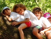 Imatge nens a l'arbre. Font: Canal Esplai Font: 