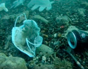 Guants i altres residus al fons marí Font: Encercle Residu Zero