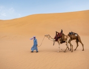 Saharauí i camell al desert. Font: Pexels - Noureddine Belfethi
