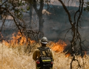Persona bombera controlant un foc. Font: Pexels - RDNE Stock project