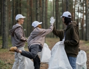 Gent netejant un bosc. Font: Pexels - Ron Lach