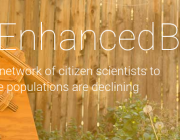 Open Source Beehives, un projecte obert per la protecció de les abelles!  Font: 
