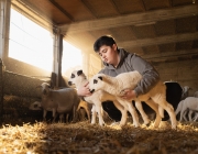 La jove ramadera Teresa Montanuy a la seva explotació d'ovelles. Font: Colectic.  Font: Colectic