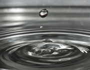 Tothom ha de posar la seva gota d’aigua.  Font: Pixabay