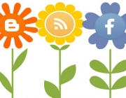 Xarxes socials i comunicació digital Font: 