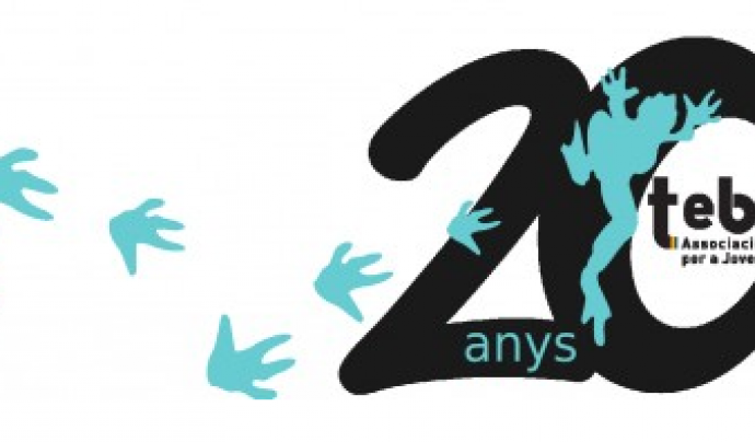 Logotip creat pels 20 anys del TEB Font: 