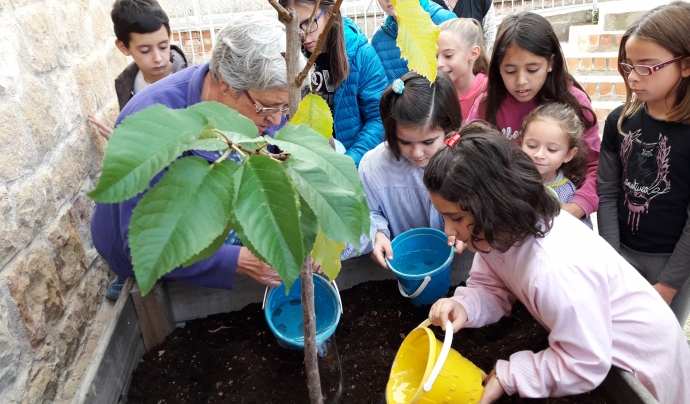 Activitat taller agricultura en una escola de Juncosa (Garrigues) Font: Fundació Pagesos Solidaris