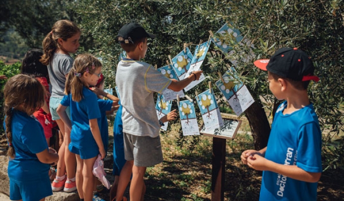Alumnes del Col·legi Doctor Ferran de Cobera d'Ebre participant a la campanya "El meu arbre les teves arrels" Font: Save the Children