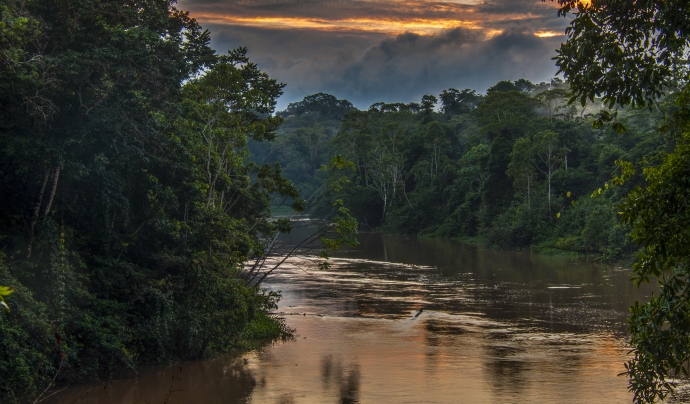 El Yasuní està situat a l’Equador, forma part de l’Amazònia i és un pulmó per al planeta. Font: Jose Screckinger - Flickr (Llicència CC).