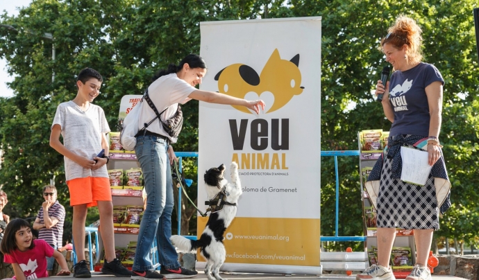 Fira Veu Animal 2019. Font: Veu Animal Font: Veu Animal