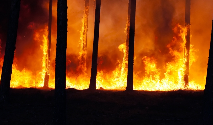 Els incendis forestals a Grècia, Turquia i Catalunya són algunes de les conseqüències visibles de l'emergència climàtica. Font: Ervins Strauhmanis (CC BY 2.0)