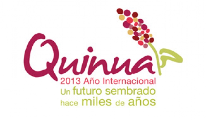 Logo 2013 Any Internacional de la Quinoa Font: 