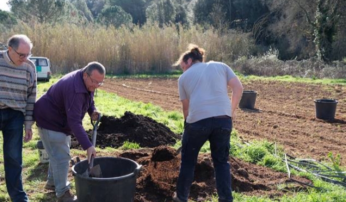 'Alimentem Collserola' promou sistemes alimentaris locals més justos i sostenibles i la reactivació de l’activitat agrària a la Serra de Collserola. Font: Arran de Terra