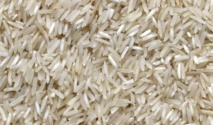 Tot i la disminució de la collita, el gra d'arròs recol·letat és d'una qualitat elevada. Font: Llicència CC Unsplash