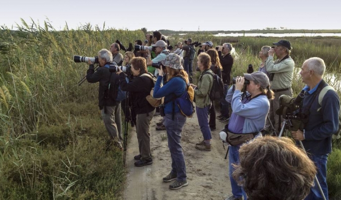 El Delta Birding Festival agrupa un gran nombre d'entitats ambientals, professionals i aficionats a l'ornitologia, l'estudi dels ocells. Font: Delta Birding Festival