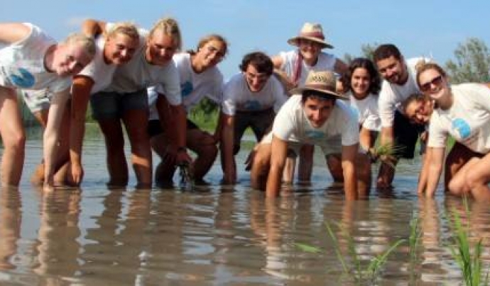 A Riet Vell, al Delta de l'Ebre, es pot passar uns dies com a voluntari i voluntària ambiental col·laborant en el projectes de conservació i agricultura ecològica Font: Riet Vell