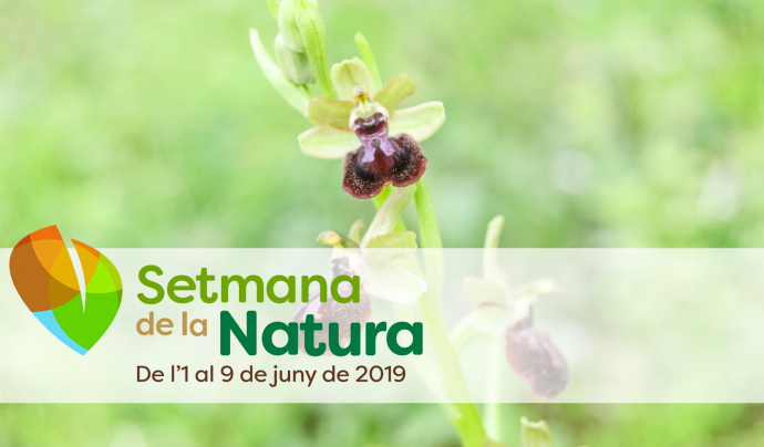 La Setmana de la Natura se celebra de l'1 al 9 de juny Font: Setmana Natura