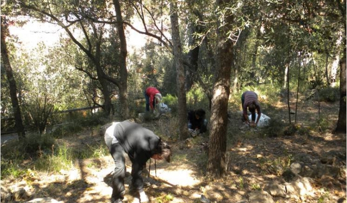 El Bosc de Turull és un bosc al mig del barri de Gràcia on es realitzen activitats ambientals i comunitàries Font: Aula Ambiental Bosc de Turull