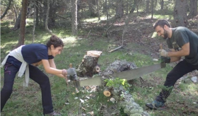 L'associació Boscos de Muntanya organitza estades per a persones adultes als boscos del Pirineu durant tot l'estiu Font: Associació Boscos de Muntanya