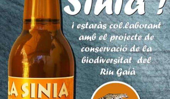 La cervesa La Sínia aporta recursos al projecte de conservació de la biodiversitat del riu Gaià Font: Associació Mediambiental La Sínia