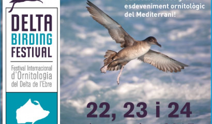Un festival dedicat a les aus i a la natura Font: Delta Birding Festival