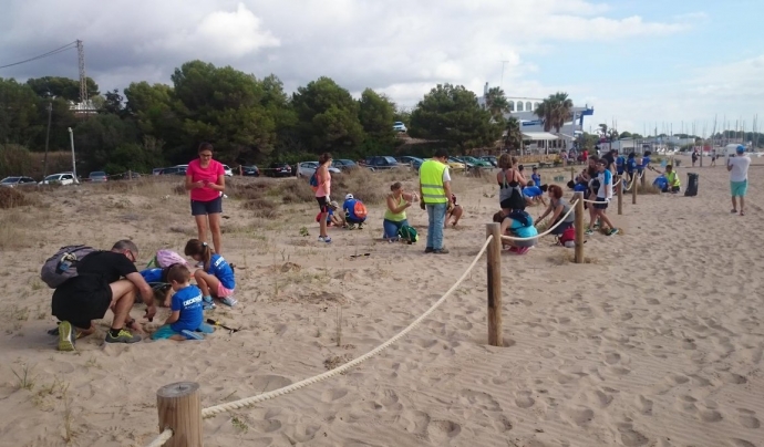 Voluntariat ambientals per la recuperació de les dunes de la Platja LLarga de Tarragona amb l'Associació Aurora i Decathlon Font: Associació Aurora