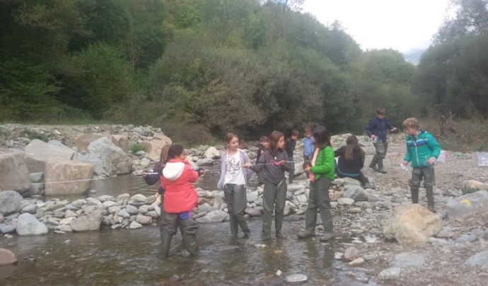 Un grup de voluntariat analitzant el riu Rigart Font: Projecte Rius