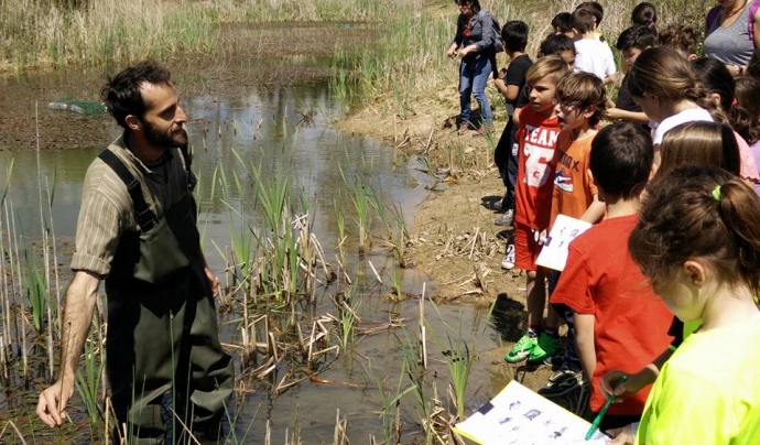 La Fundació Emys planteja un projecte per la recuperació de l'hàbitat per als amfibis Font: Fundació Emys