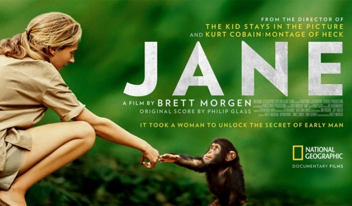 El documental 'Jane', dedicat a Jane Godall, es projecta el 4 de novembre a les 18 hores a CosmoCaixa Font: Jane