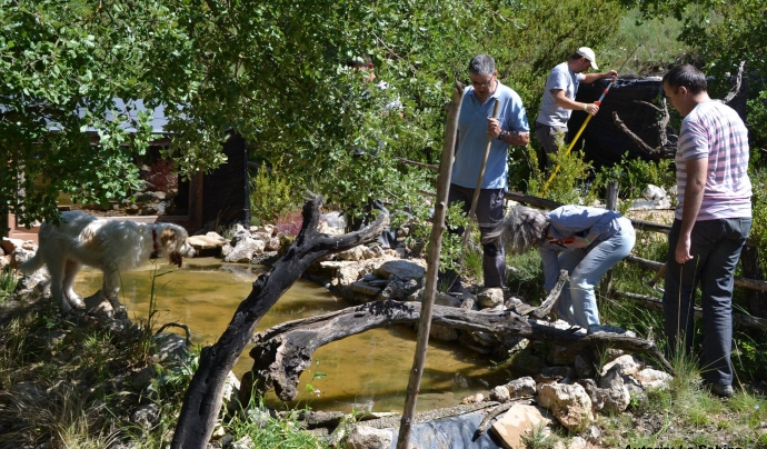 Durant la Setmana Natura es pot participar d'activitats obertes de voluntariat ambiental Font: La Sabina