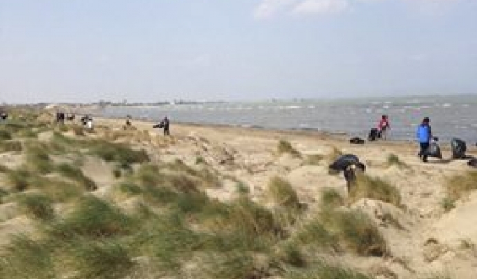 El grup de voluntaris del Parc Natural del Delta de l'Ebre organitza una acció a platja de la Bassa de les Olles a l'Ampolla Font: gencat