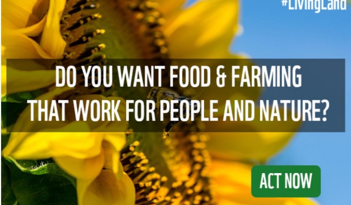 La campanya Living Land recull signatures per una Política Agrícola Europea més sostenible Font: Living Land